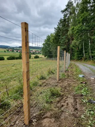 Wildzaun in Kassel - fachgerechte Ausführung vor Ort